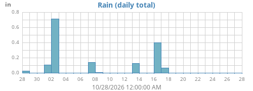 Rain