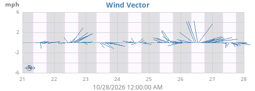 Wind Vector